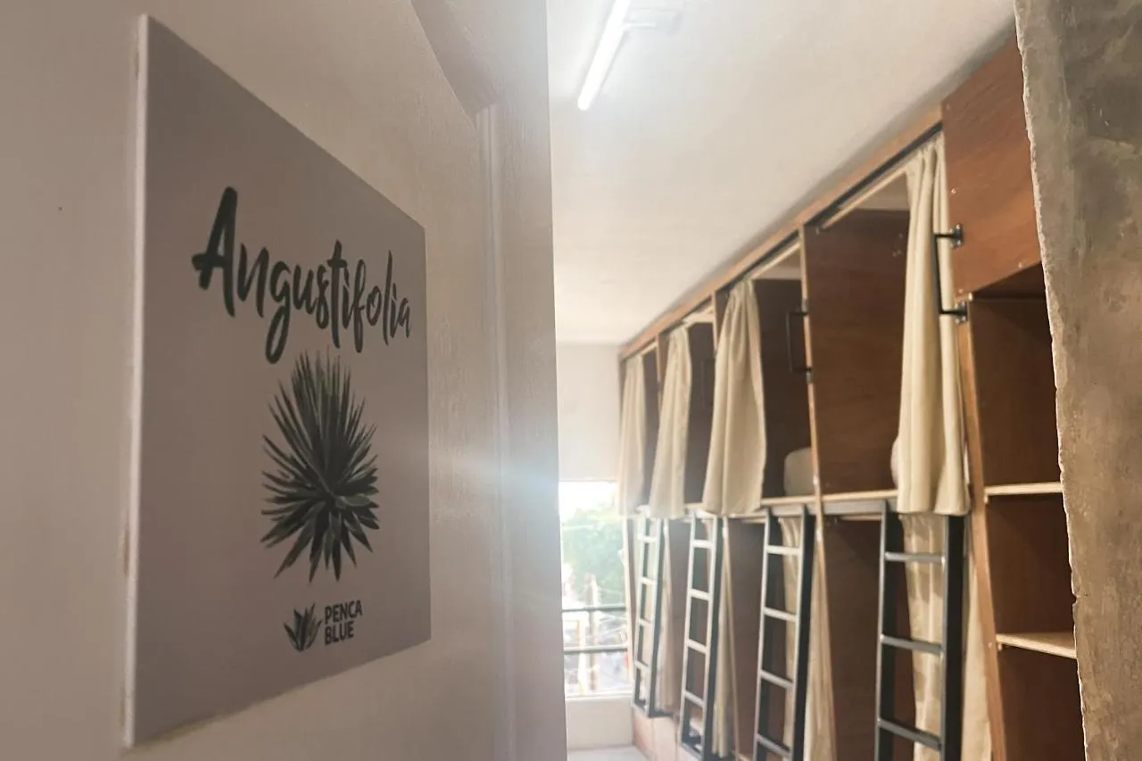 Penca Blue Hostel Tulum 0*,